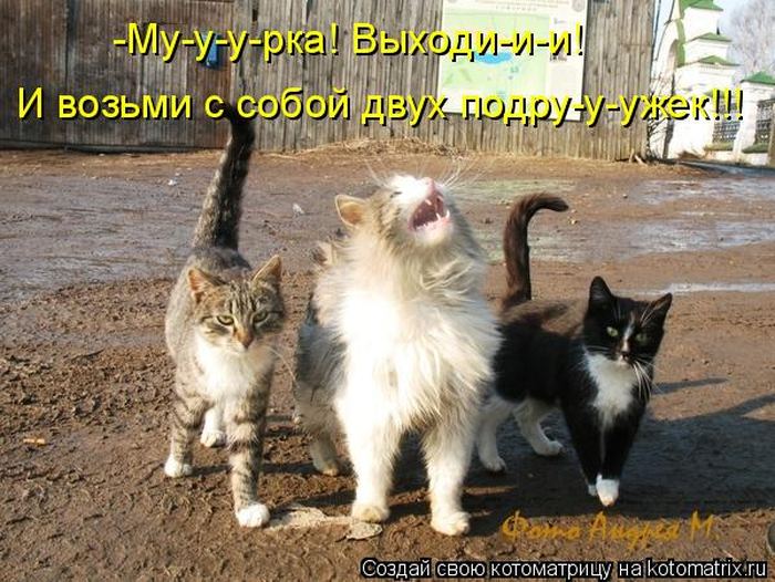 VFL.RU -  