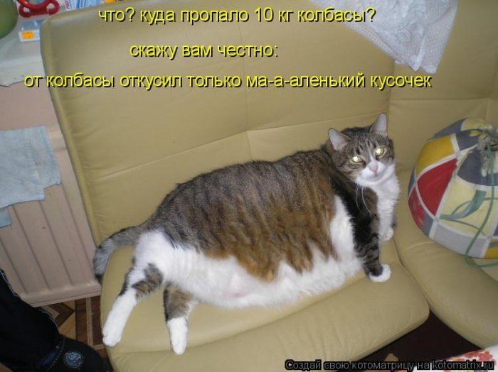 VFL.RU -  
