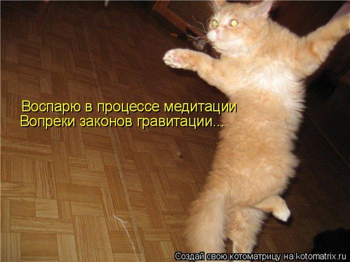 VFL.RU -  