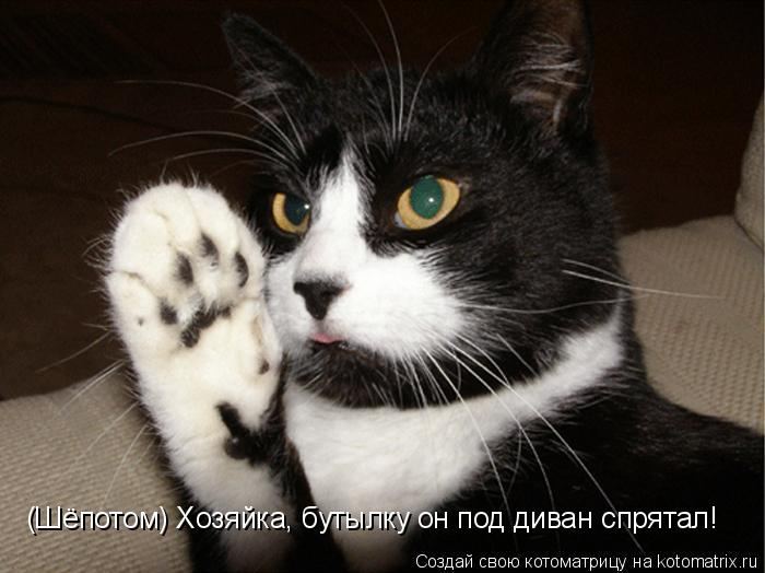 VFL.RU -  