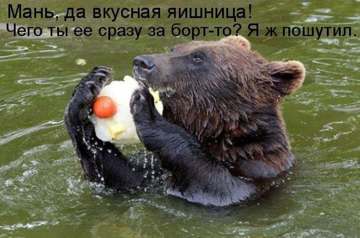 VFL.RU -  