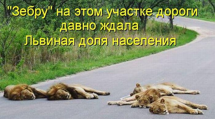 VFL.RU -  