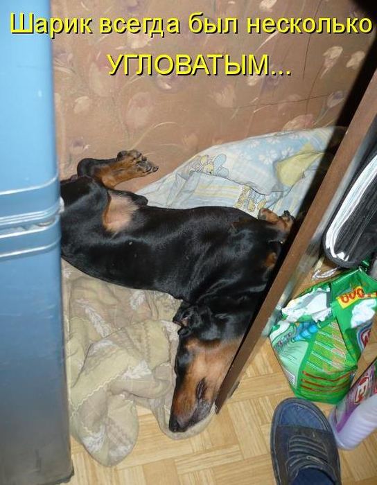 VFL.RU -  