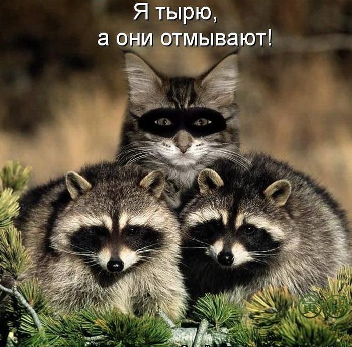 VFL.RU -  