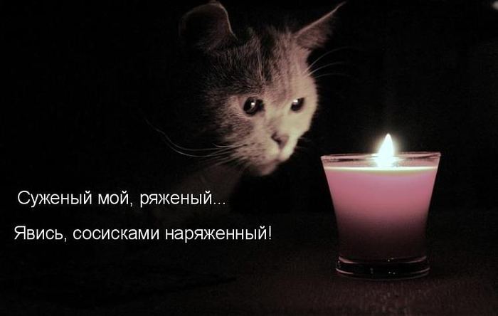 VFL.RU -  