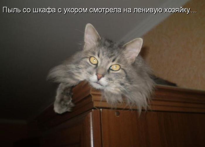 VFL.RU -  