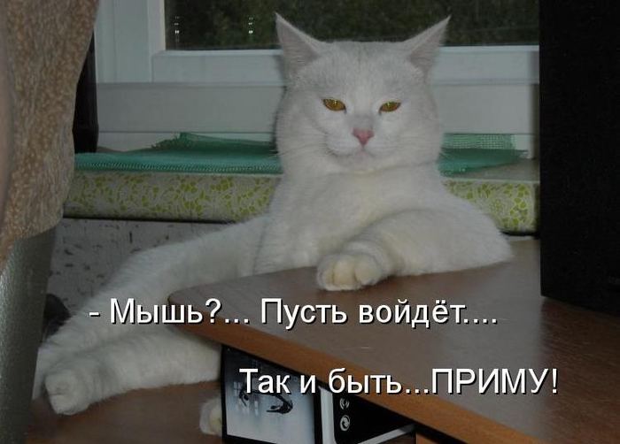VFL.RU -  