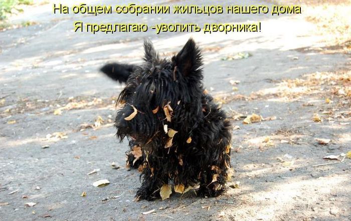 VFL.RU -  