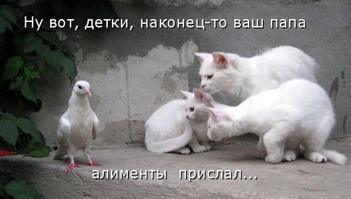 VFL.RU -  