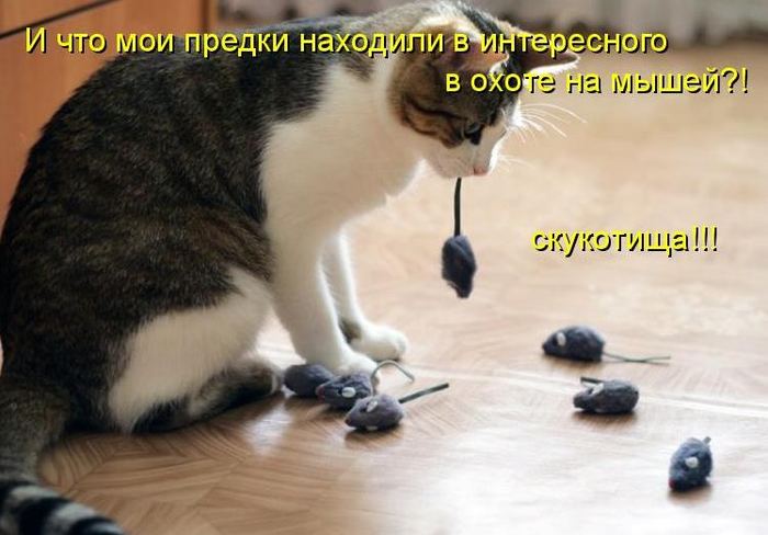 VFL.RU -  