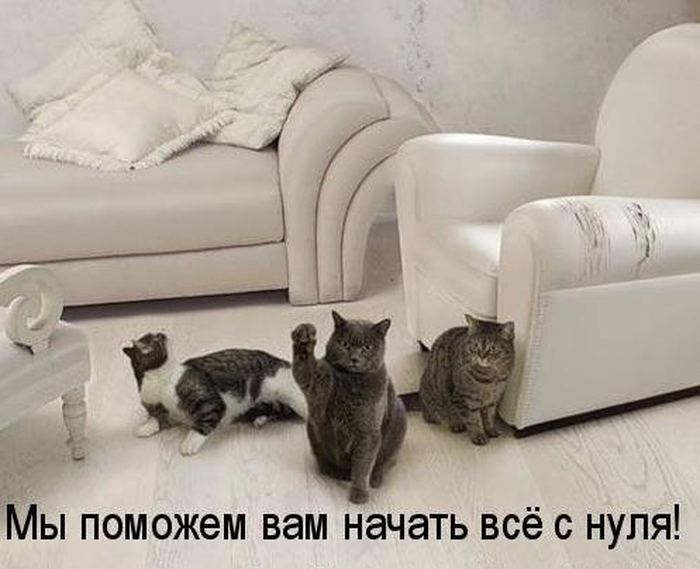 VFL.RU -  