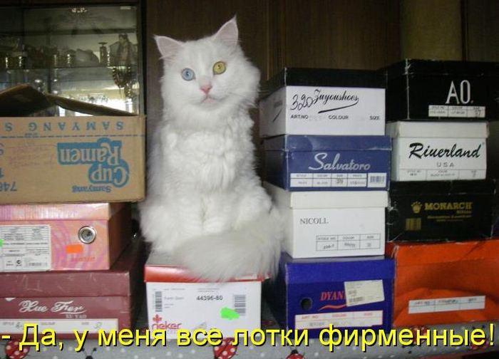 VFL.RU -  