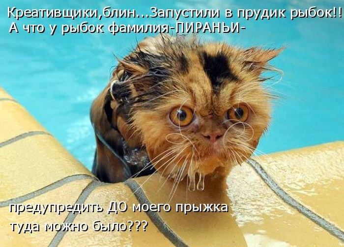 VFL.RU -  