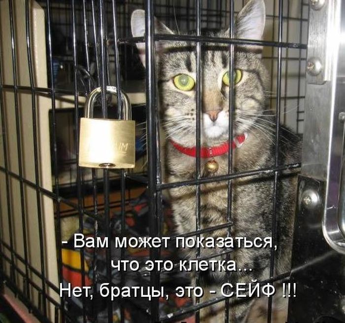 VFL.RU -  