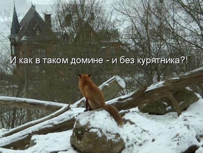 VFL.RU -  