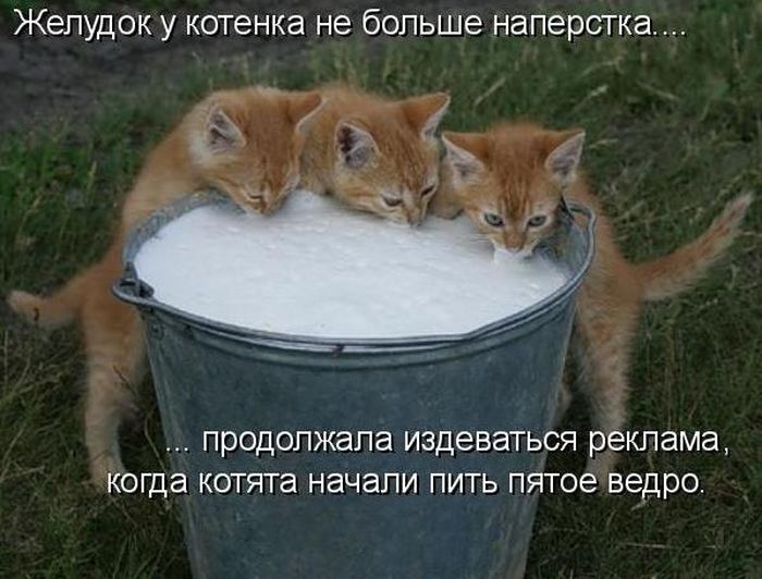VFL.RU -  
