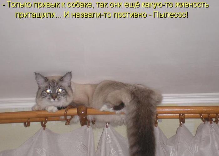 VFL.RU -  