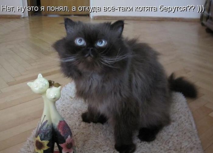 VFL.RU -  