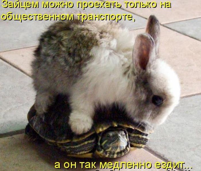 VFL.RU -  
