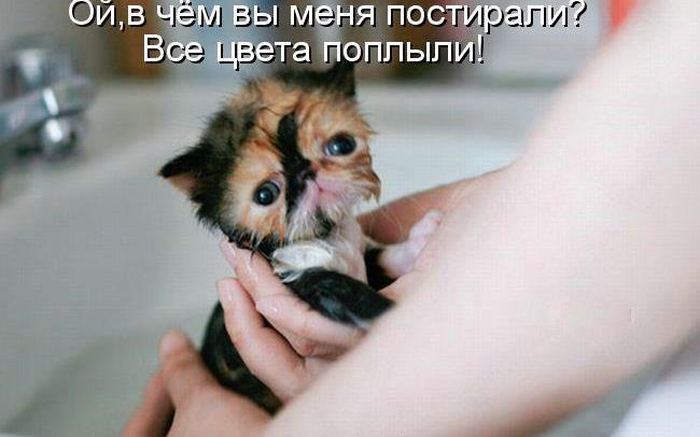 VFL.RU -  