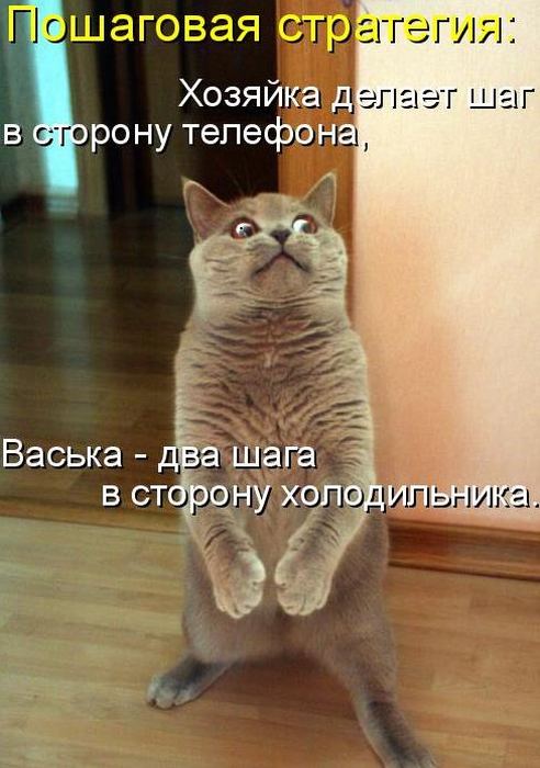 VFL.RU -  