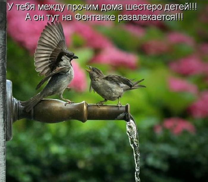 VFL.RU -  