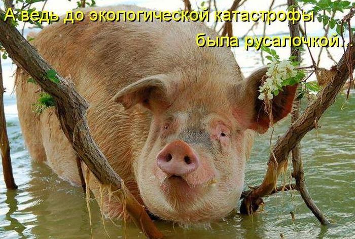 VFL.RU -  