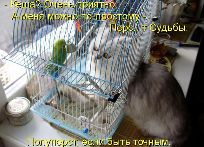 VFL.RU -  