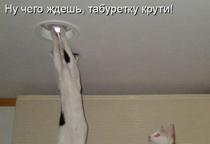 VFL.RU -  