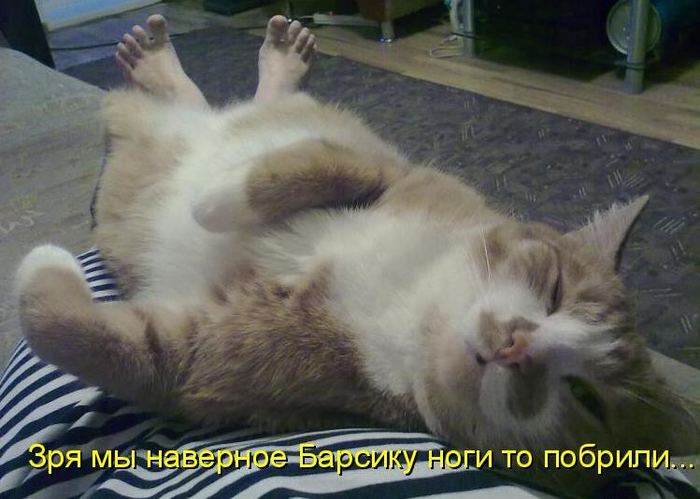 VFL.RU -  