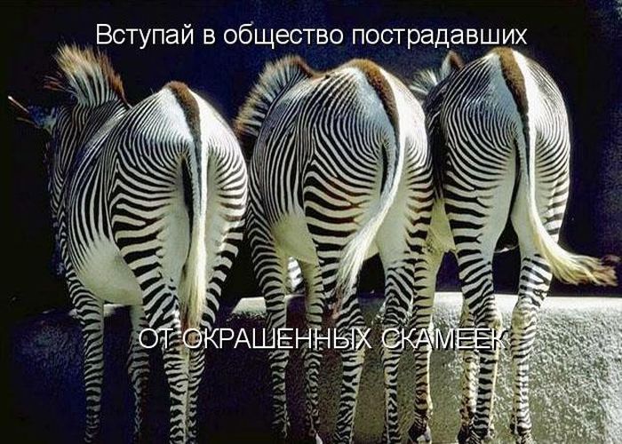 VFL.RU -  