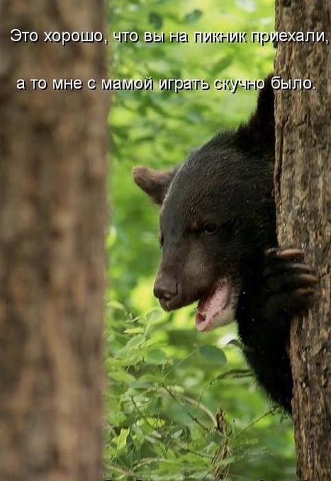 VFL.RU -  