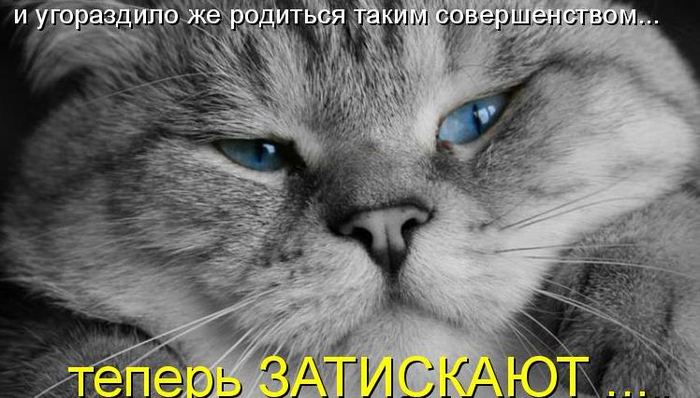VFL.RU -  