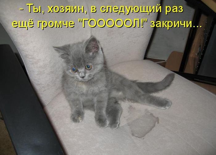 VFL.RU -  