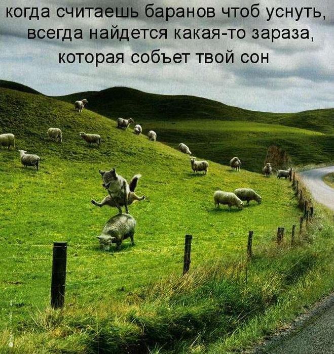VFL.RU -  