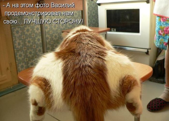 VFL.RU -  