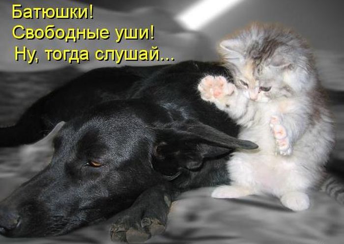 VFL.RU -  