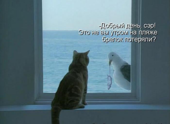VFL.RU -  