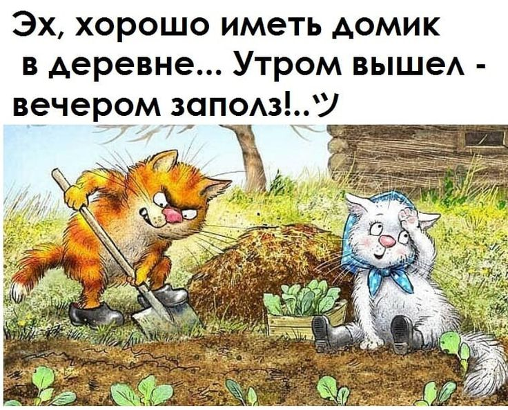 VFL.RU -  