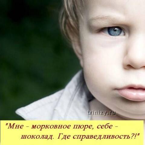 VFL.RU -  