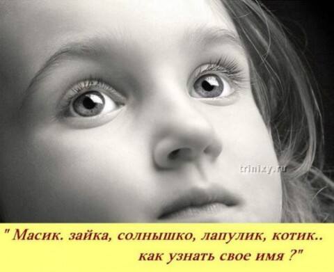VFL.RU -  