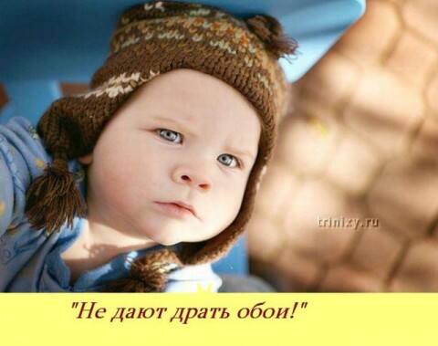 VFL.RU -  