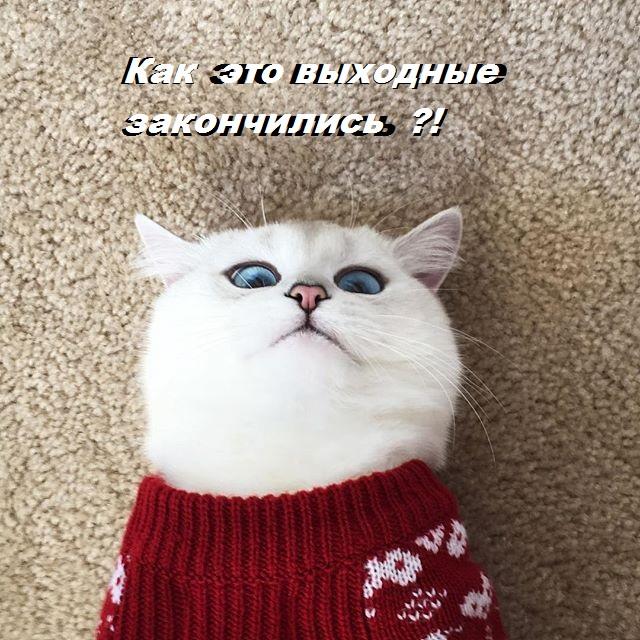 VFL.RU -  