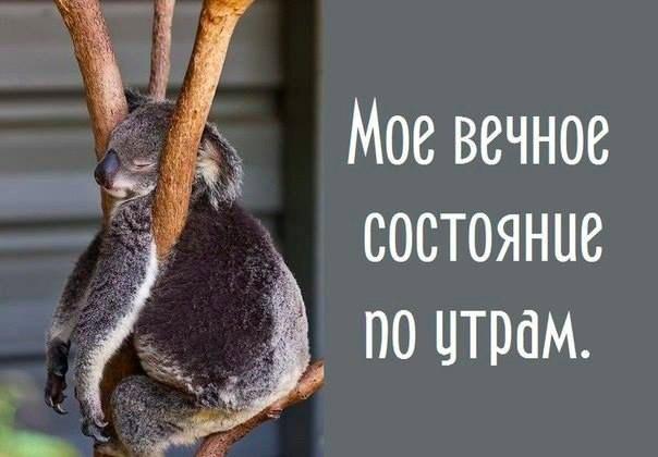 VFL.RU -  