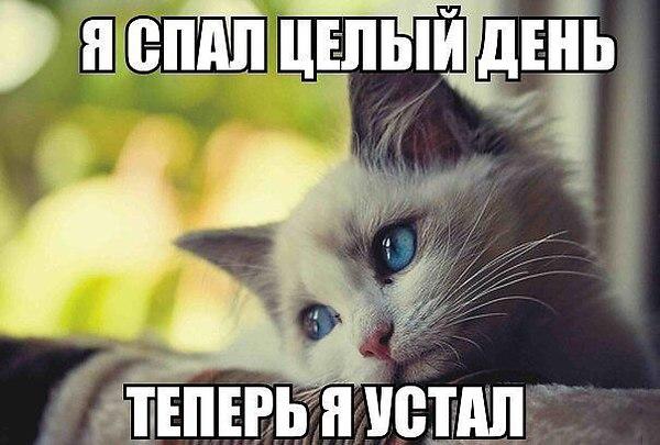 VFL.RU -  