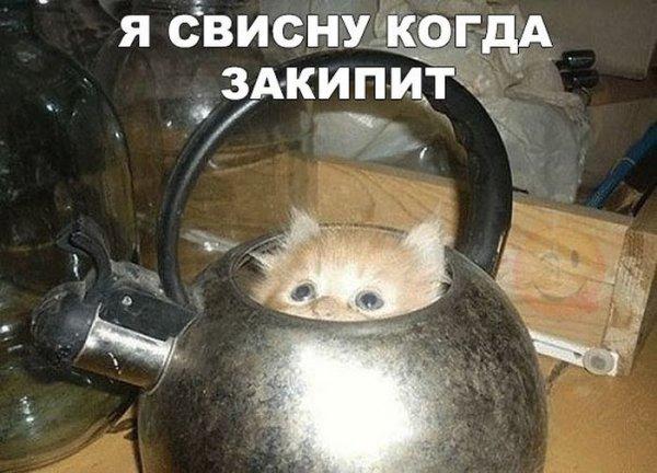 VFL.RU -  