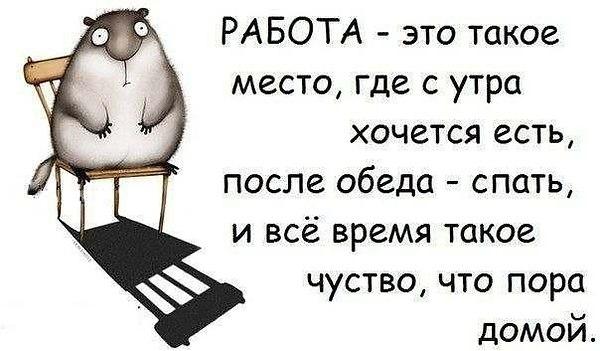 VFL.RU -  