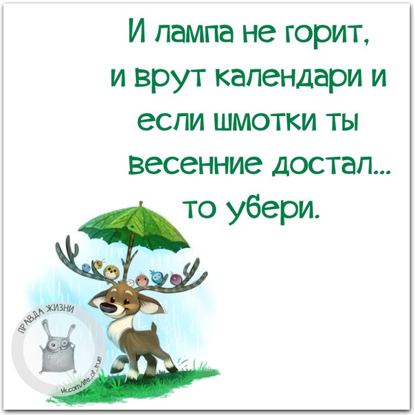 VFL.RU -  