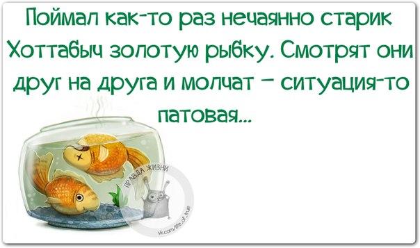 VFL.RU -  