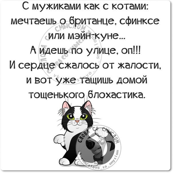 VFL.RU -  